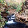 Hoteles que admiten mascotas en Bushkill