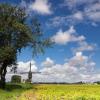 Alquileres vacacionales en Mijnsheerenland