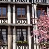 Hotels in Le Petit-Quevilly