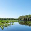 Hotele przyjazne zwierzętom w mieście River Ranch