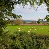 Cottages in Malborough