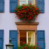 Apartments in Hugstetten