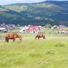 Parkolóval rendelkező hotelek Smidán