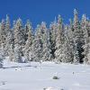 Недорогие отели в городе Tannenberg