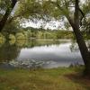 Daylesford