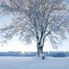 Hotels mit Parkplatz in Les Bois