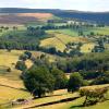 Cottages in Froggatt