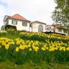 Family Hotels in Staufenberg