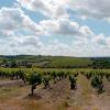 Parkimisega hotellid sihtkohas Rochefort-sur-Loire