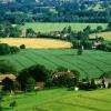 Hotels in Chinnor