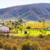 Alquileres vacacionales en Bonnievale