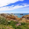 Maisons de vacances à Plougrescant