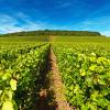 Hotéis em Bergères-lès-Vertus