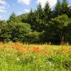 Parkolóval rendelkező hotelek Rosdorfban