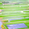 Panzió Broek in Waterlandban