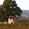 Hoteles en Le Barroux