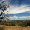 Hôtels à Tanunda