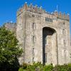 Hoteles familiares en Bunratty