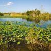 Hoteles con parking en Everglades