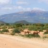 Hotéis em Isiolo