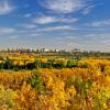 Sherwood Park