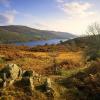 Vacation Rentals in Chapel Stile