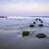 Hoteles de playa en Belmar