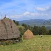 Hotel per famiglie a Săcele