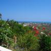 Holiday Rentals in Ballenita