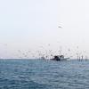 Dahme