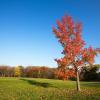 Hotels in Lansing