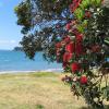 Kaitaia