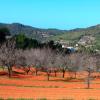 Hoteles con piscina en Sant Jordi