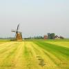 Varel
