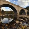 Aboyne