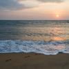 Holiday Homes in Ohope Beach