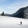 Ski Resorts in Panorama