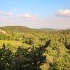 Holiday Rentals in San Pancrazio