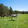 Boenden med självhushåll i Villaviciosa