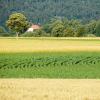 Hotell med parkering i Les Geneveys-sur-Coffrane