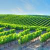 Hotels with Parking in Glen Ellen