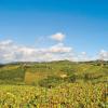 Casas de Férias em Lucolena in Chianti