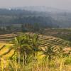 Hotels with Pools in Antasari