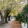 Hotels in Hahndorf