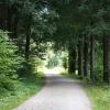 lyžařská střediska v destinaci Menzenschwand-Hinterdorf