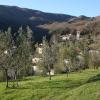 Pet-Friendly Hotels in Borgo a Buggiano