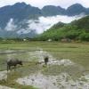 Hotels a Mai Chau