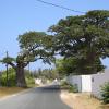 Niaga