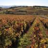 ที่พักให้เช่าในCorcelles-en-Beaujolais