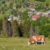 Apartments in Lullin